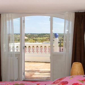 Little Ibiza